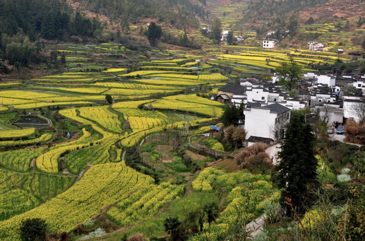 5.1旅游景点排行榜前十名