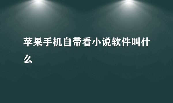 苹果手机自带看小说软件叫什么