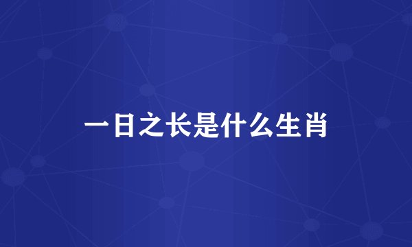 一日之长是什么生肖