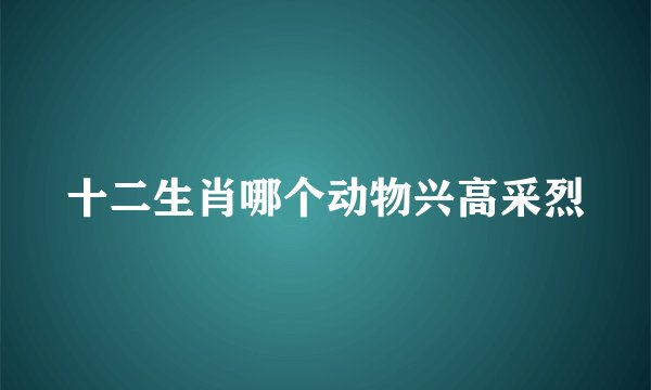 十二生肖哪个动物兴高采烈