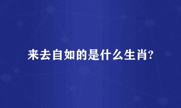 来去自如的是什么生肖?