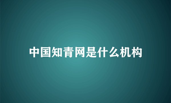 中国知青网是什么机构