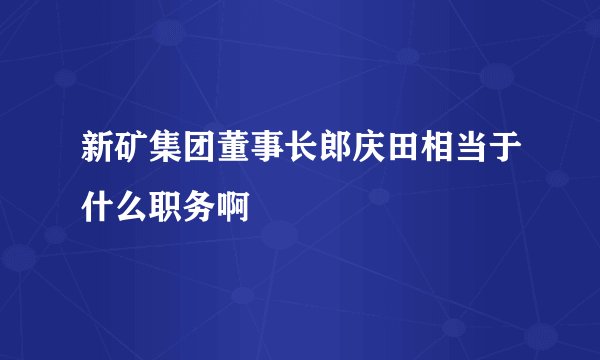 新矿集团董事长郎庆田相当于什么职务啊