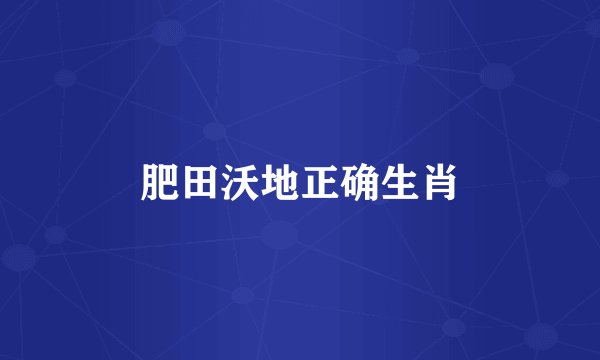 肥田沃地正确生肖