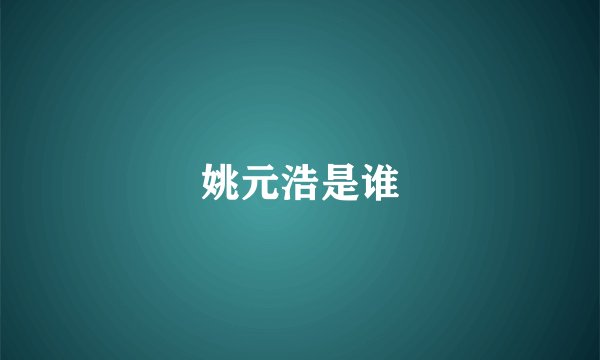 姚元浩是谁