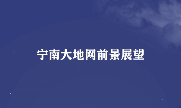 宁南大地网前景展望