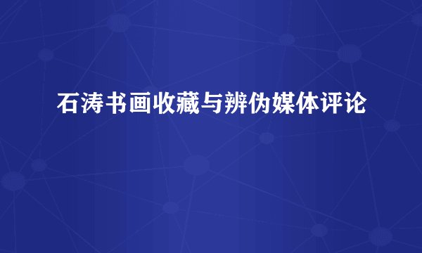石涛书画收藏与辨伪媒体评论