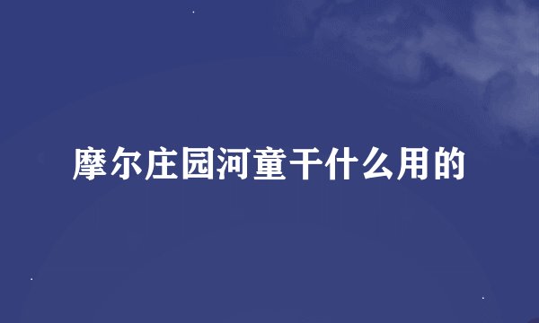 摩尔庄园河童干什么用的