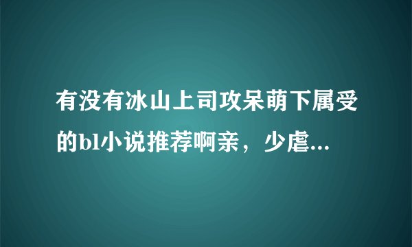有没有冰山上司攻呆萌下属受的bl小说推荐啊亲，少虐，he，说书名就ok啦