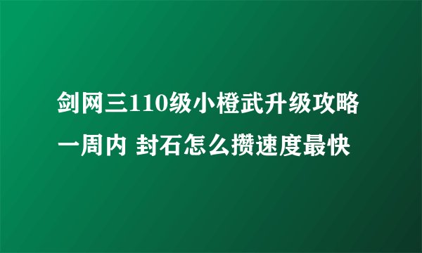 剑网三110级小橙武升级攻略 一周内 封石怎么攒速度最快