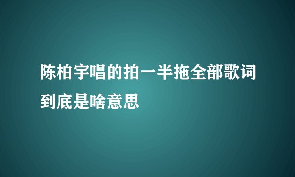 陈柏宇唱的拍一半拖全部歌词到底是啥意思