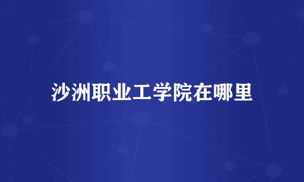 沙洲职业工学院在哪里