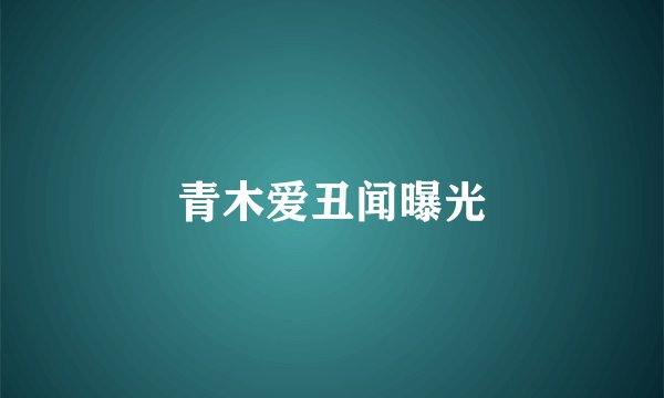 青木爱丑闻曝光