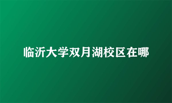 临沂大学双月湖校区在哪