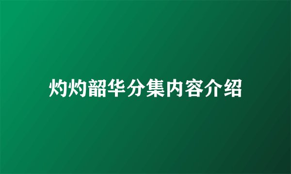灼灼韶华分集内容介绍