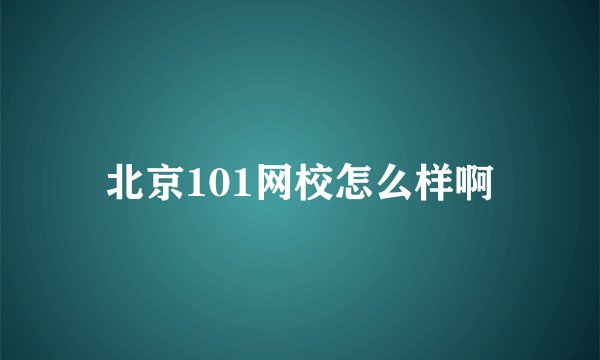 北京101网校怎么样啊