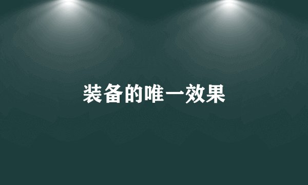 装备的唯一效果
