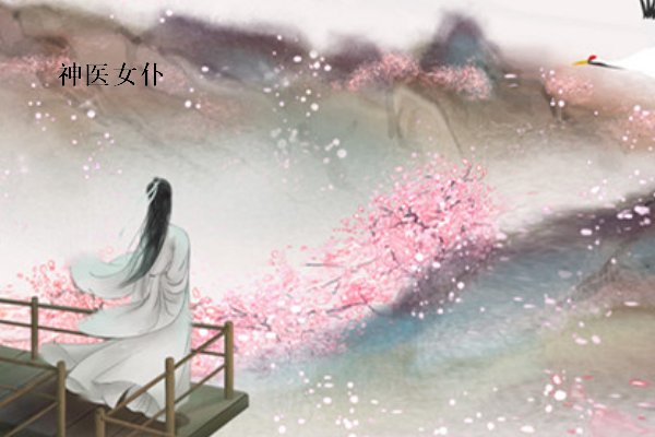 姜清婉夜枭小说叫什么名字