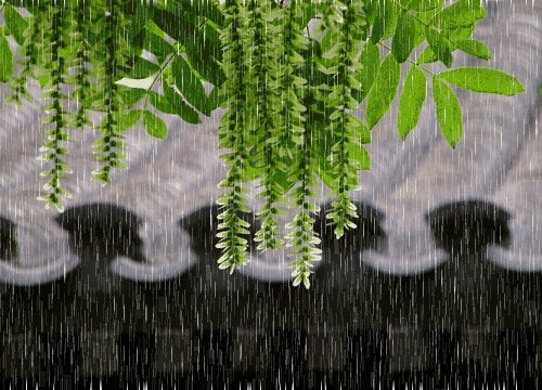 清明节的一天写话