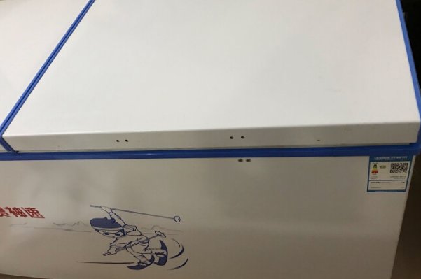 冰柜品牌质量排行榜前十名