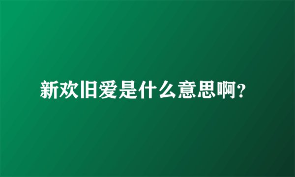 新欢旧爱是什么意思啊？