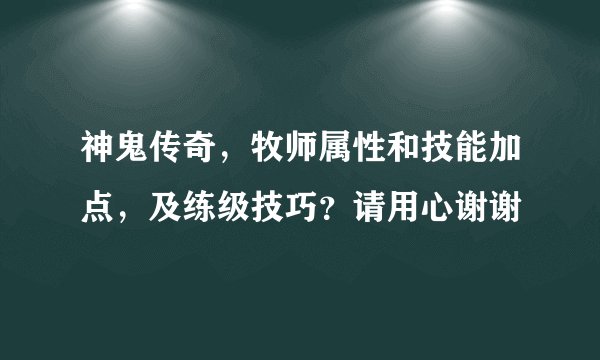 神鬼传奇，牧师属性和技能加点，及练级技巧？请用心谢谢