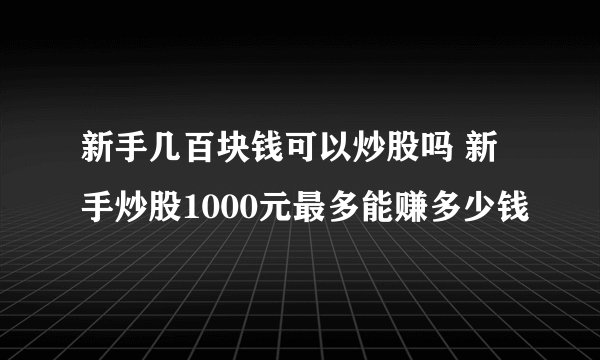 新手几百块钱可以炒股吗 新手炒股1000元最多能赚多少钱