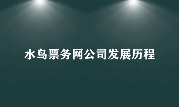 水鸟票务网公司发展历程