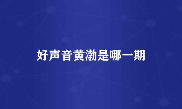 好声音黄渤是哪一期