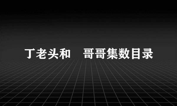 丁老头和囧哥哥集数目录