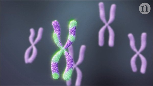 生物老师说一个人来到这世上纯属偶然，这个概率到底有多低？