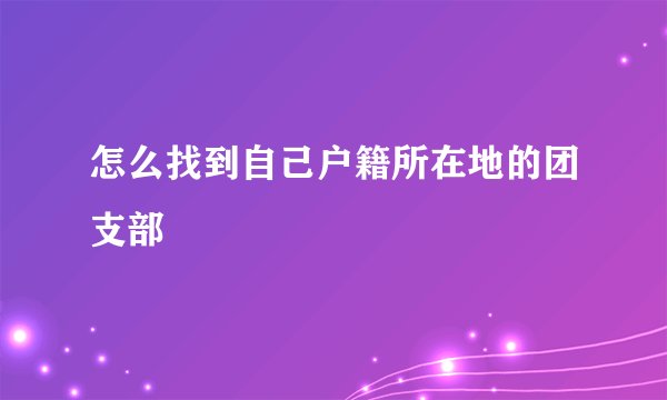 怎么找到自己户籍所在地的团支部