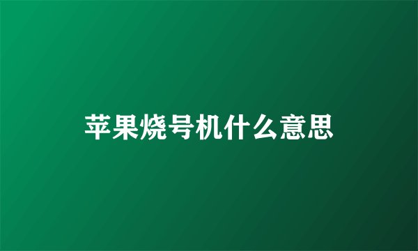 苹果烧号机什么意思