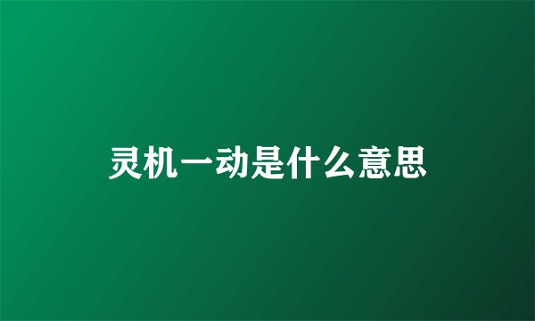 灵机一动是什么意思