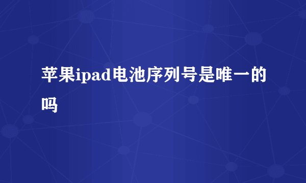 苹果ipad电池序列号是唯一的吗