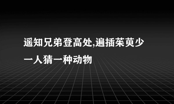 遥知兄弟登高处,遍插茱萸少一人猜一种动物
