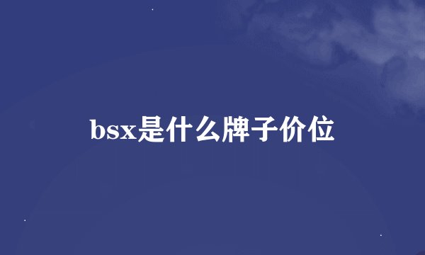 bsx是什么牌子价位