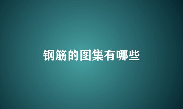 钢筋的图集有哪些