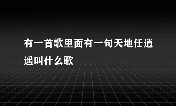 有一首歌里面有一句天地任逍遥叫什么歌