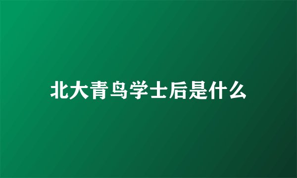 北大青鸟学士后是什么