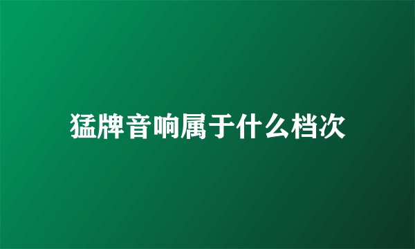 猛牌音响属于什么档次