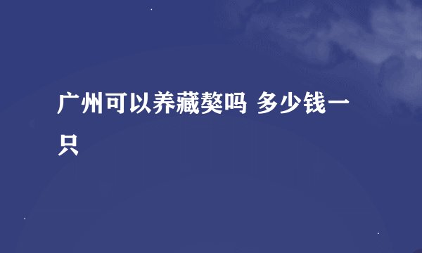 广州可以养藏獒吗 多少钱一只