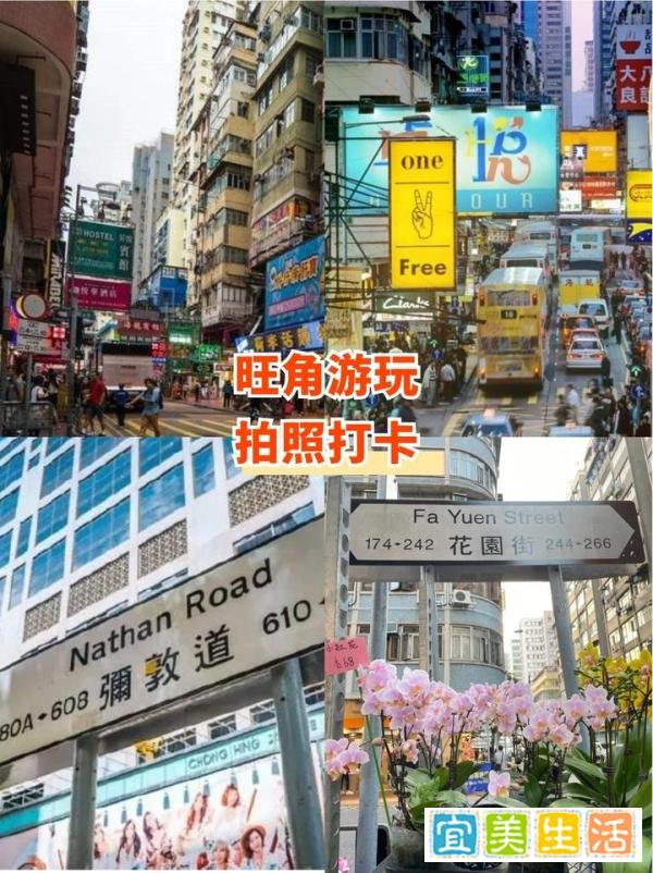香港旺角游玩打卡路线、行李寄存指南！