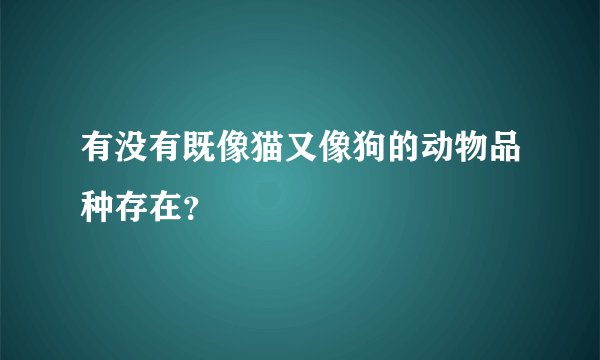 有没有既像猫又像狗的动物品种存在？