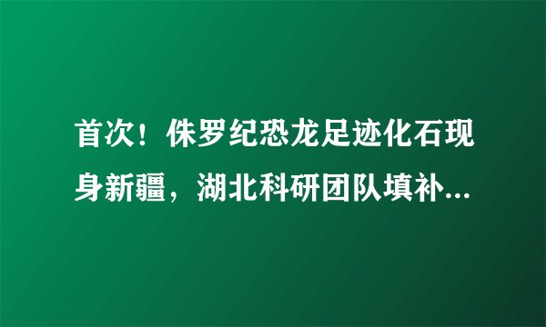 首次！侏罗纪恐龙足迹化石现身新疆，湖北科研团队填补相关空白
