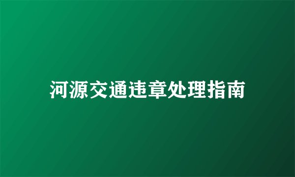 河源交通违章处理指南