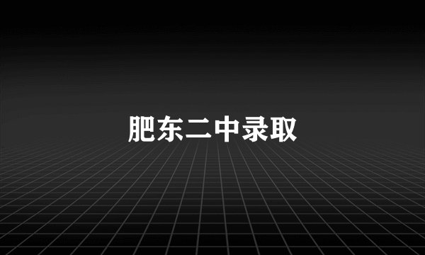 肥东二中录取