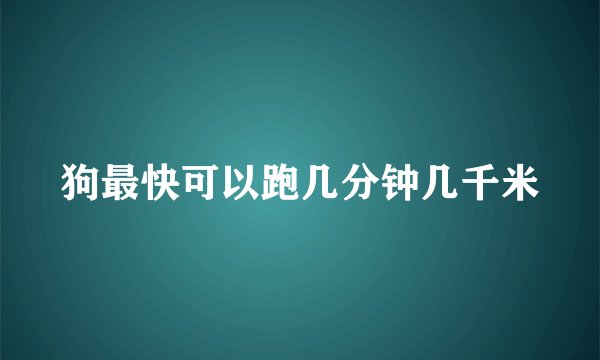 狗最快可以跑几分钟几千米