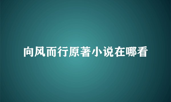 向风而行原著小说在哪看