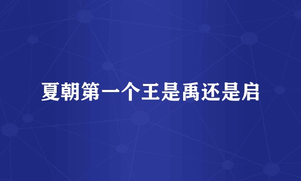 夏朝第一个王是禹还是启
